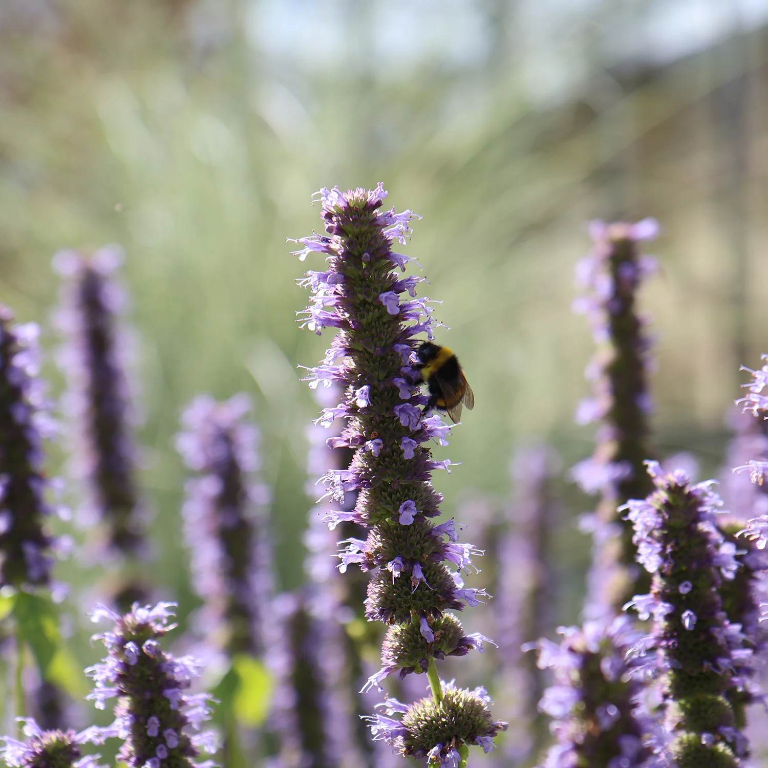 home-cursus-klein