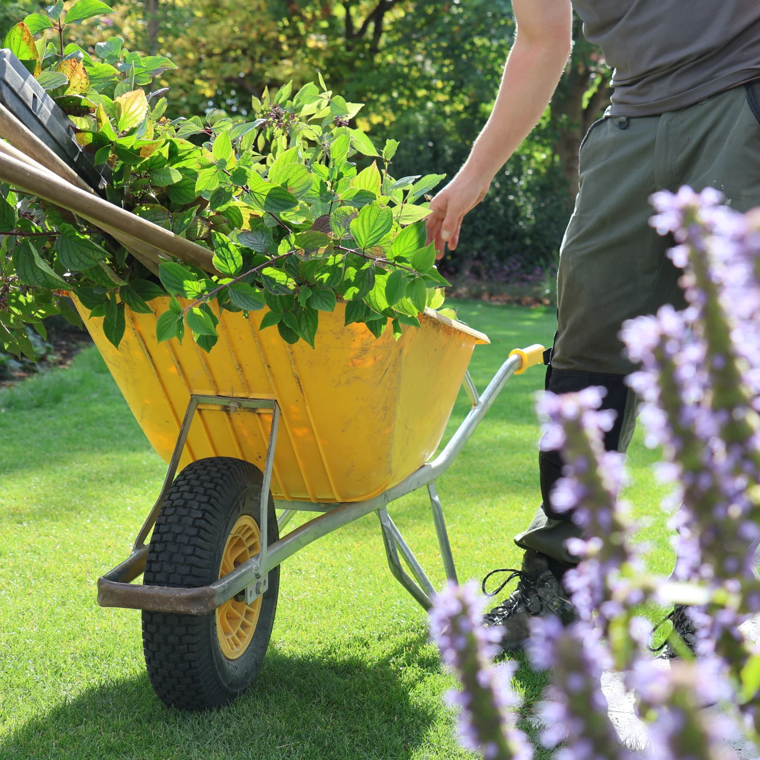 tuin-cursus-foto3